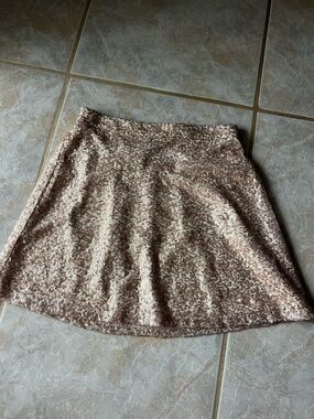 American Eagle Outfitters Rose Gold Sequin A-Line Skirt
